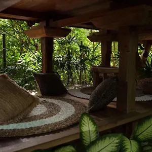 https://roots-tree-house.hotelsseminyak.net
